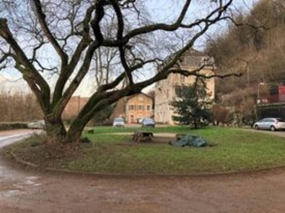 Appartement Rdc Dans Jolie Parc Arbore Beure 외부 사진