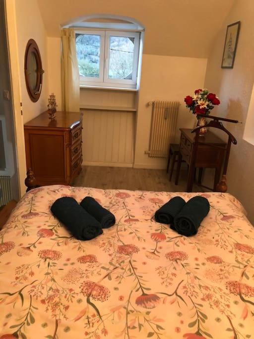 Appartement Rdc Dans Jolie Parc Arbore Beure 외부 사진